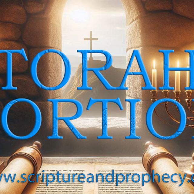 Torah Portion - Bamidbar (Numbers 1–4:20) The First Census of Israel (2020 Rebroadcast) - podcast episode cover
