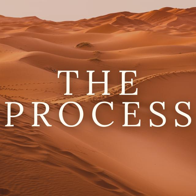 The Process - podcast episode cover