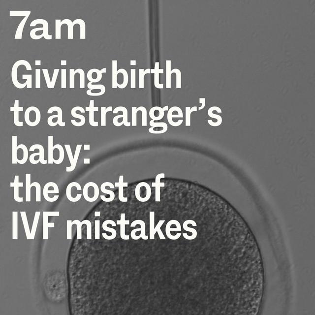Giving birth to a stranger's baby: The cost of IVF mistakes - podcast episode cover