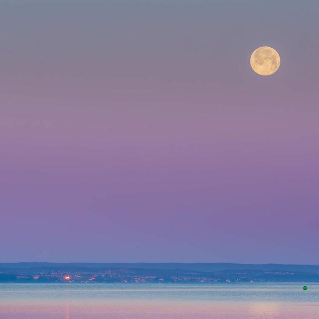 Moon Matrix Reversal Meditation: Realigning Your Energy Bodies to the Solar-Gaia Circuit. - podcast episode cover
