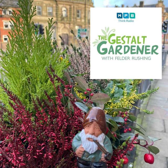 The Gestalt Gardener | Fence Post Farm - podcast episode cover