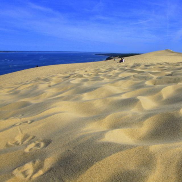 Los Viajes de Nautilus 1x10 - La cuenca de Arcachon, Francia - podcast episode cover