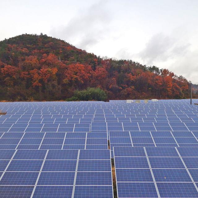 36: Has Fukushima found a future in renewables? - podcast episode cover
