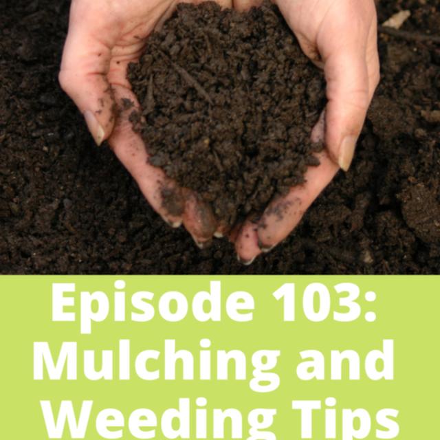 Mulching and Weeding Tips - podcast episode cover