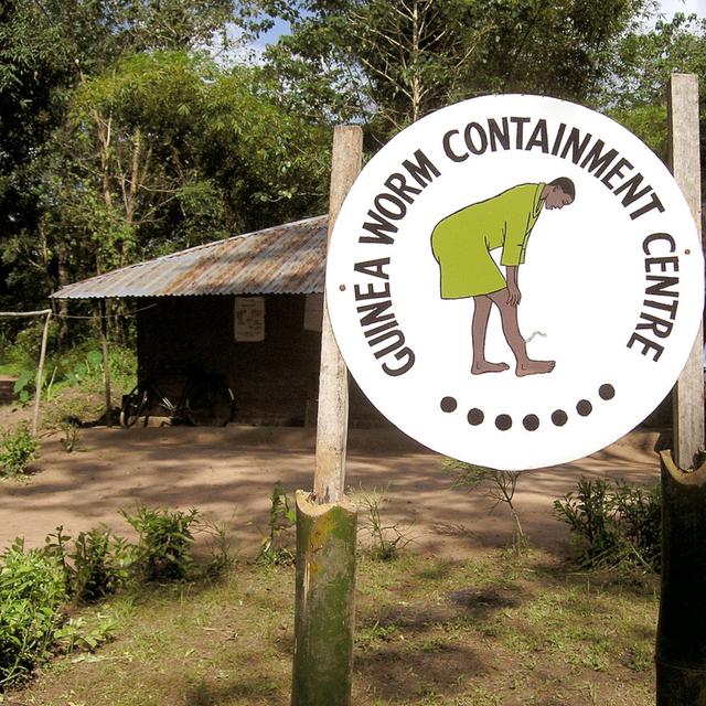 Episodio 38: Erradicacion de la lombriz de Guinea - podcast episode cover