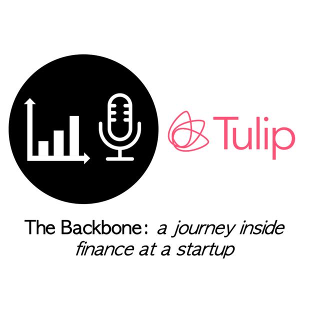 Ep. 47: A framework for managing M&A as a CFO with Saeideh Fard, Chief Financial Officer at Tulip - podcast episode cover