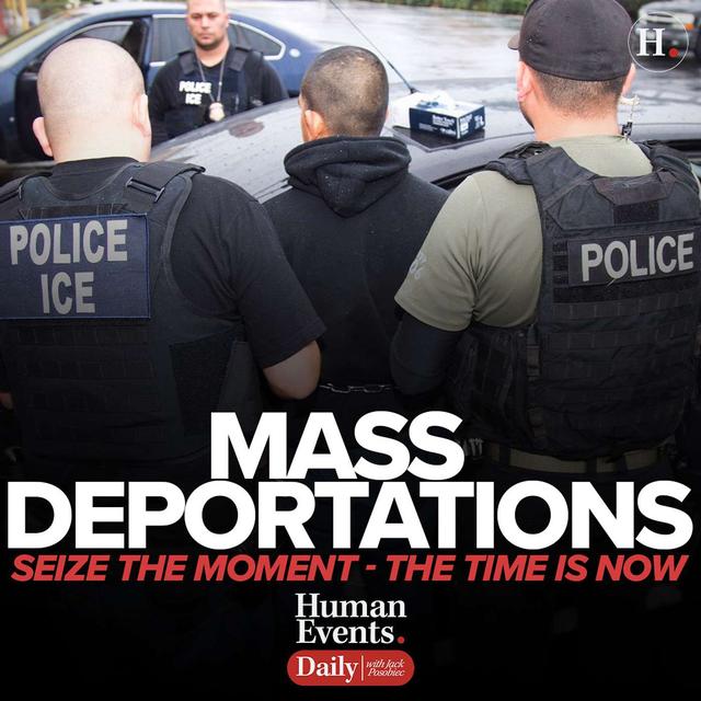 Mass Deportations - Seize the Moment - The Time is NOW - podcast episode cover