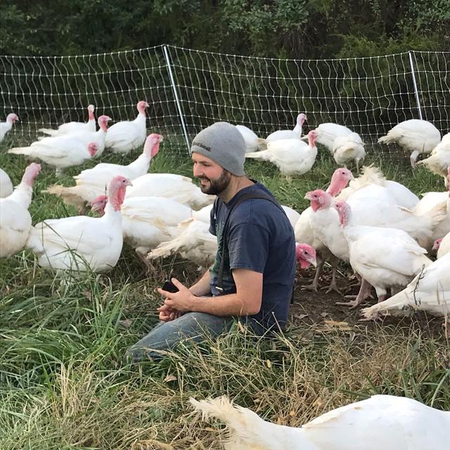 006 Pastured Poultry Farming AND Processing and Business with Ben Grimes - podcast episode cover