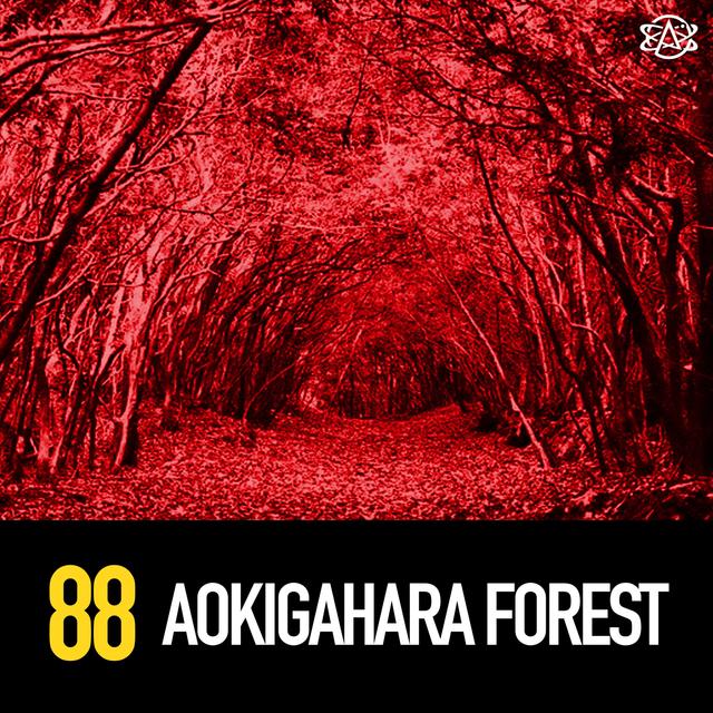 88 - Aokigahara: Japan's Suicide Forest - podcast episode cover