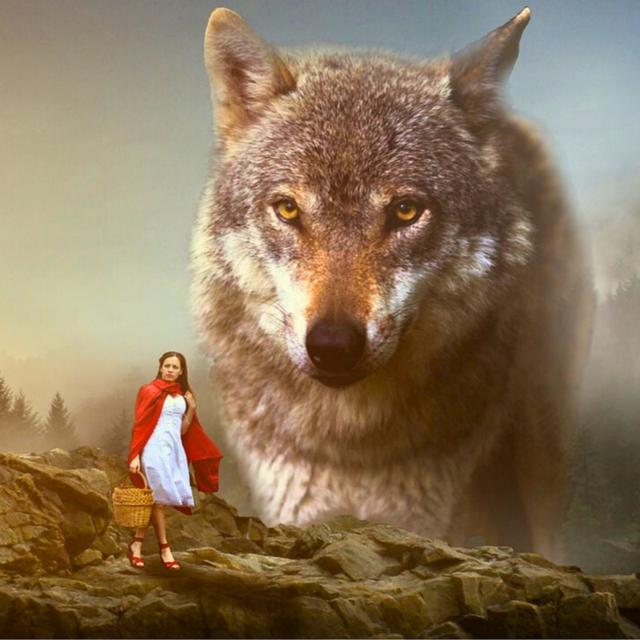 Little Red-Cap [Little Red Riding Hood] - podcast episode cover