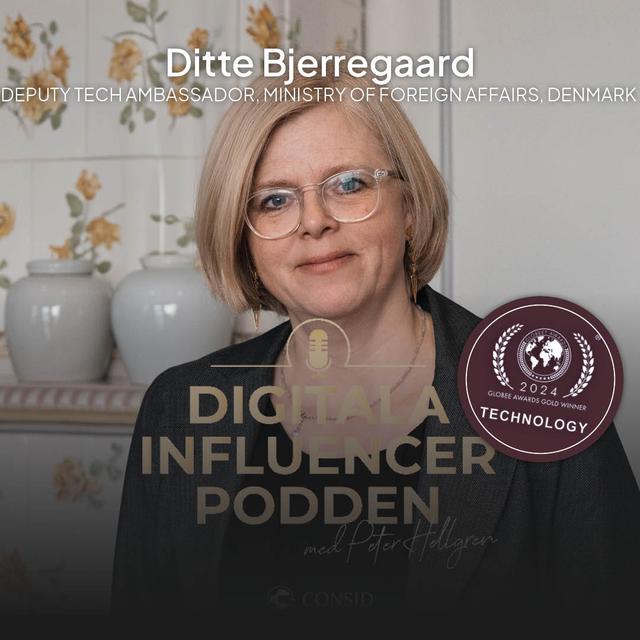 313. Digital Diplomacy in Action | Ditte Bjerregaard, Deputy Tech Ambassador, Ministry of Foreign Affairs of Denmark | Ai vision - podcast episode cover