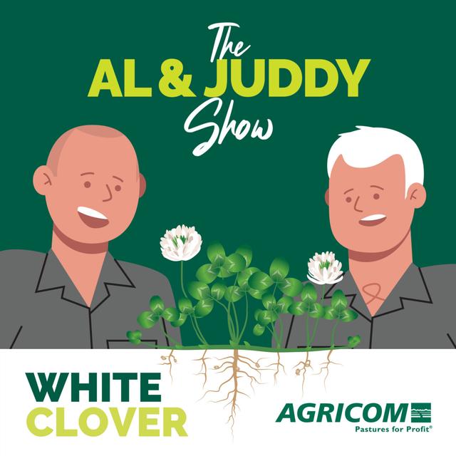 What’s not to like about White Clover? - podcast episode cover