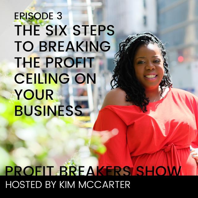 E003: The Six Steps To Breaking The Profit Ceiling On Your Business - podcast episode cover