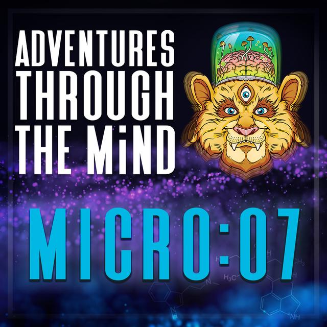 MICRO:07 - Beyond Right and Wrong: What Psychedelics Reveal About the Nature of Goodness, Christopher Bache PhD - podcast episode cover