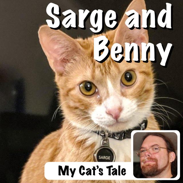 My Cat’s Tale – Sarge and Benny - podcast episode cover