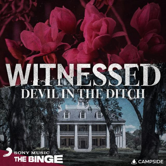 Mississippi Delta: A Southern Gothic family mystery - podcast episode cover