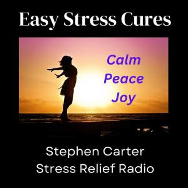 How the SNAP Method Can Calm and Rebalance Your Emotions - podcast episode cover