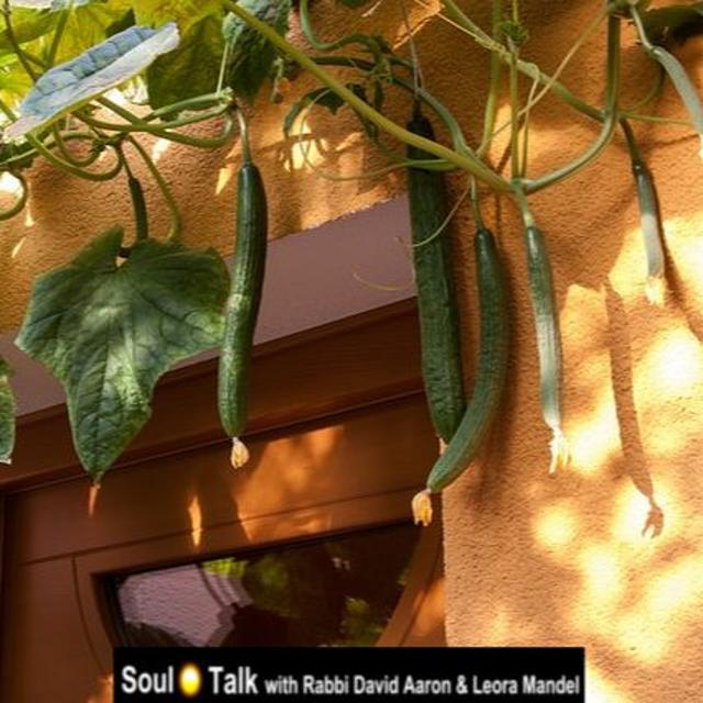 Secrets To Living A Life Of Significance - Soul Talk - podcast episode cover