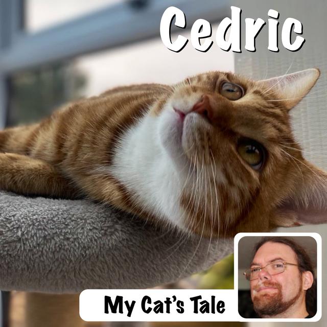 My Cat’s Tale – Cedric the Cat - podcast episode cover