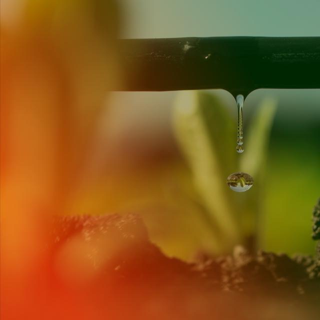 Why Climate Matters: Water Scarcity - podcast episode cover