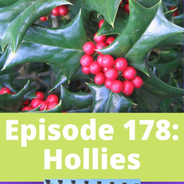 Hollies - podcast episode cover