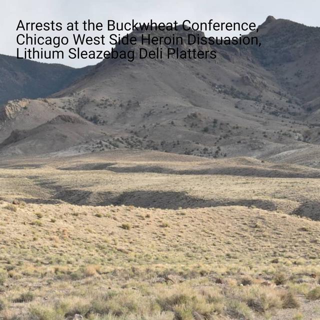 Arrests at the Buckwheat Conference, Chicago West Side Heroin Dissuasion, Lithium Sleazebag Deli Platters - podcast episode cover