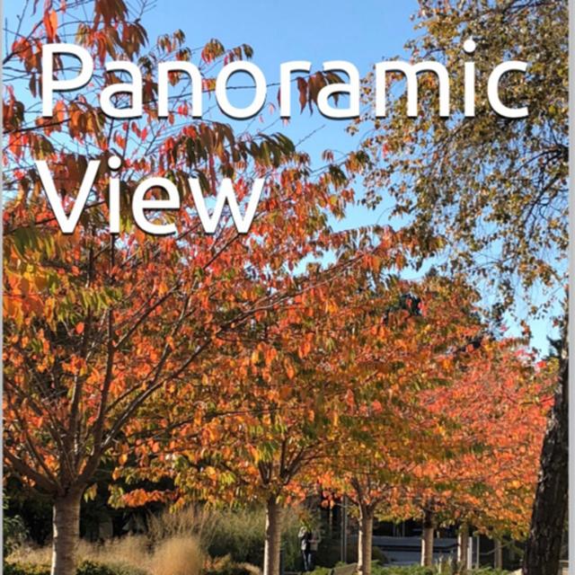 Panoramic View Volume 32 Bright by Daniel Lucas - podcast episode cover