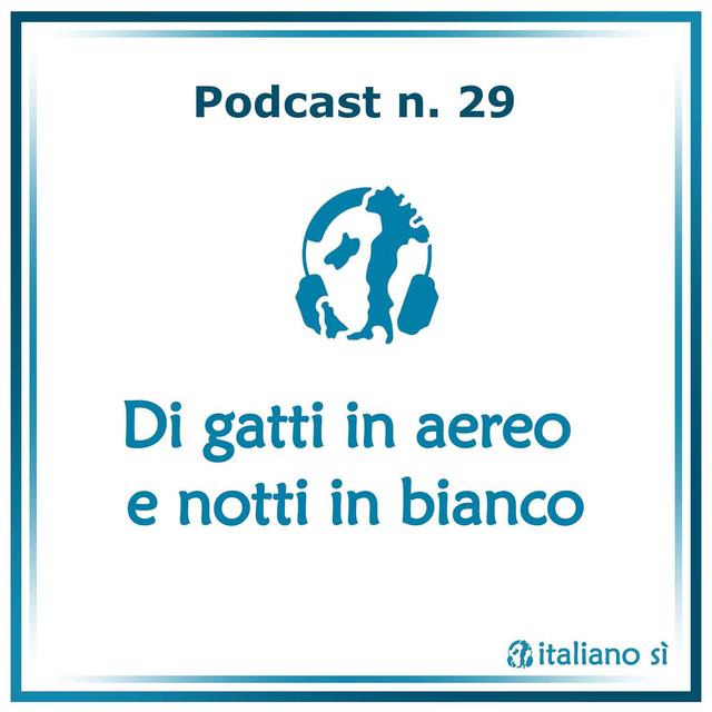 29 - Di gatti in aereo e notti in bianco - podcast episode cover