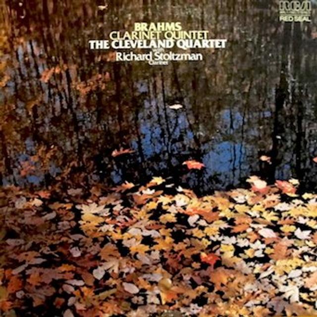 Brahms Clarinet Quintet - podcast episode cover