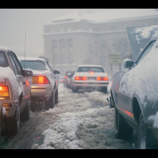 Arctic Heat Waves Linked to Snowpocalypse-Like Storms - podcast episode cover