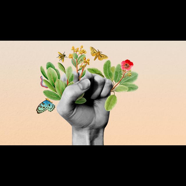 Infidelity in Iran: Why Noosh found happiness - podcast episode cover
