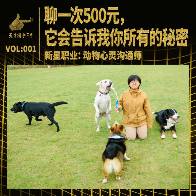 动物心灵沟通师：聊一次500元，它会说出你所有的秘密 | 新星职业001 - podcast episode cover