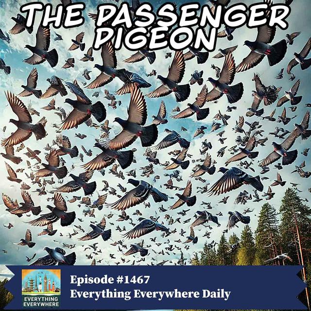 The Passenger Pigeon (Encore) - podcast episode cover