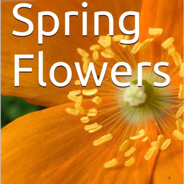 Spring Flowers Volume 89 Modest by Daniel Lucas - podcast episode cover