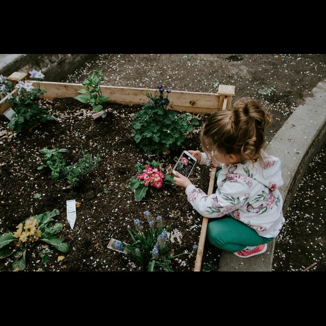 Growing little minds and nurturing education through gardening with Emma - podcast episode cover