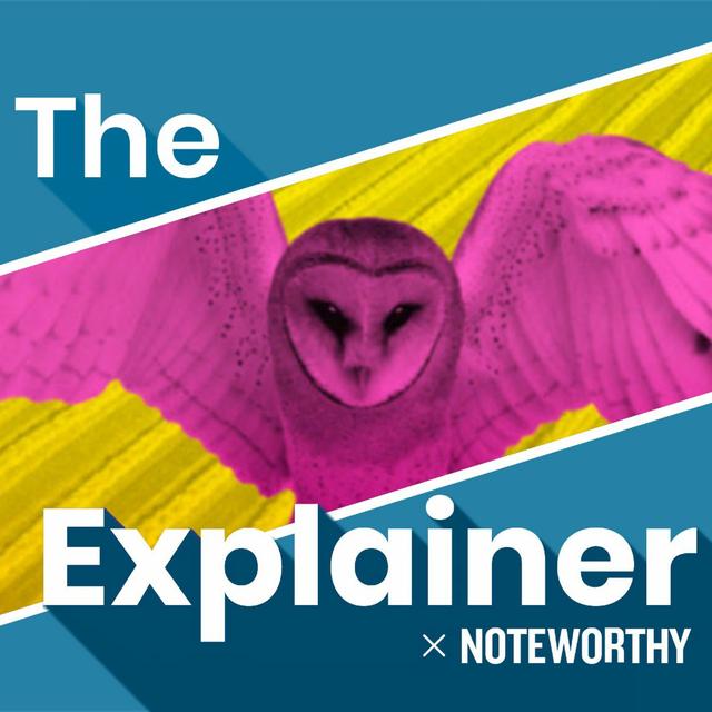 By Noteworthy: What can be done to halt the decline of our biodiversity? - podcast episode cover