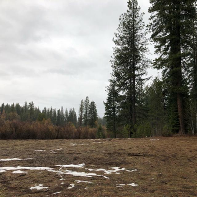 Episode 97: Rainy Morning At Bigelow Meadow - podcast episode cover