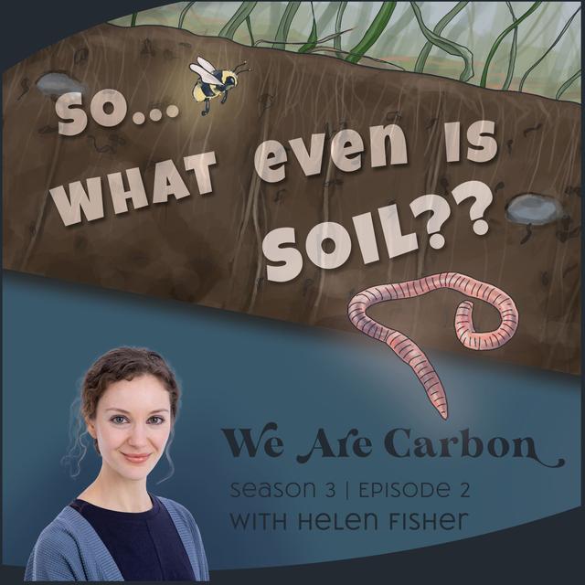 Soil - [My Common Sense Take] Paving a Path to Whole Systems Thinking - podcast episode cover