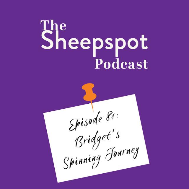 Episode 81: Bridget’s Spinning Journey - podcast episode cover