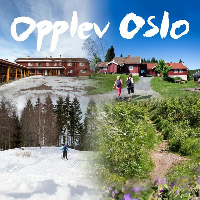2. Han gjør skogen til et eventyrlig sted for oss alle - podcast episode cover