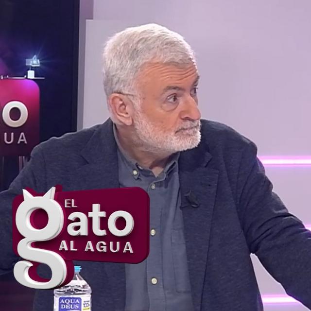 El Gato al Agua | 29/01/25 - podcast episode cover