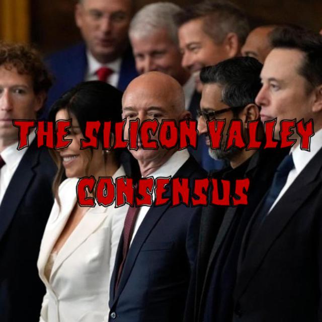 Patreon Preview – 397. The Silicon Valley Consensus - podcast episode cover