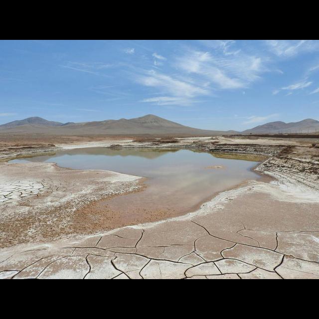Rains Bring a Microbial Massacre to Chilean Desert - podcast episode cover