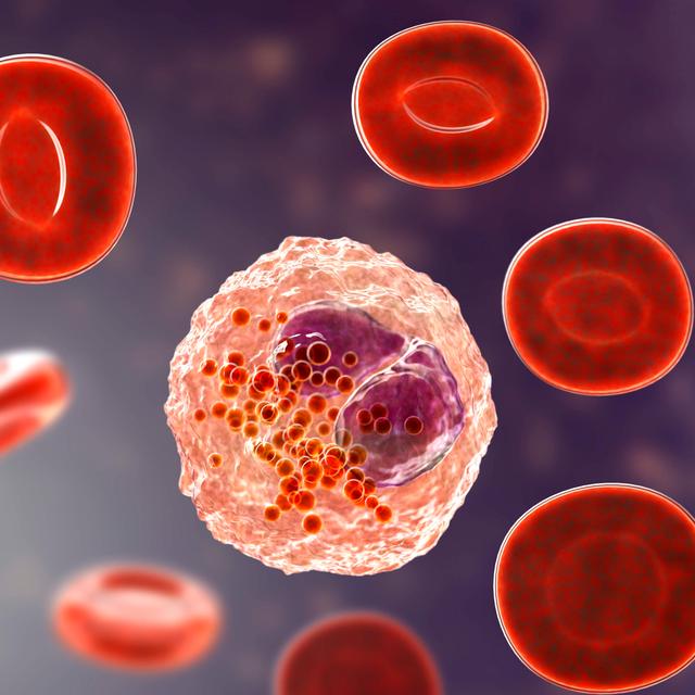 The Biologist Who Talks With Cells - podcast episode cover