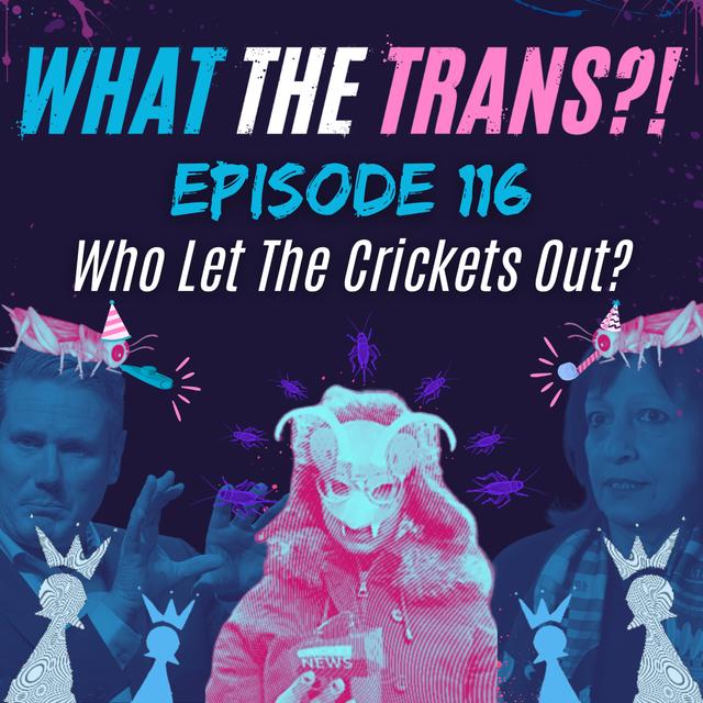 EP116 - Who Let the Crickets Out? - podcast episode cover