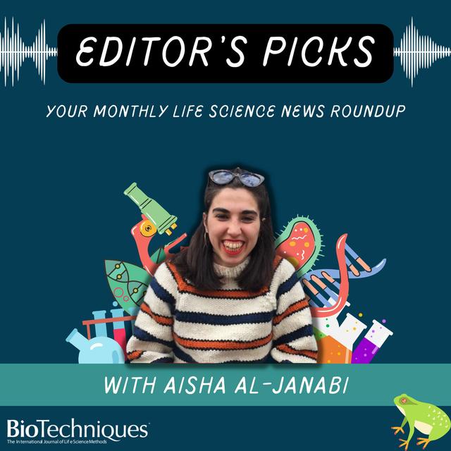 Editor's Picks | June - podcast episode cover