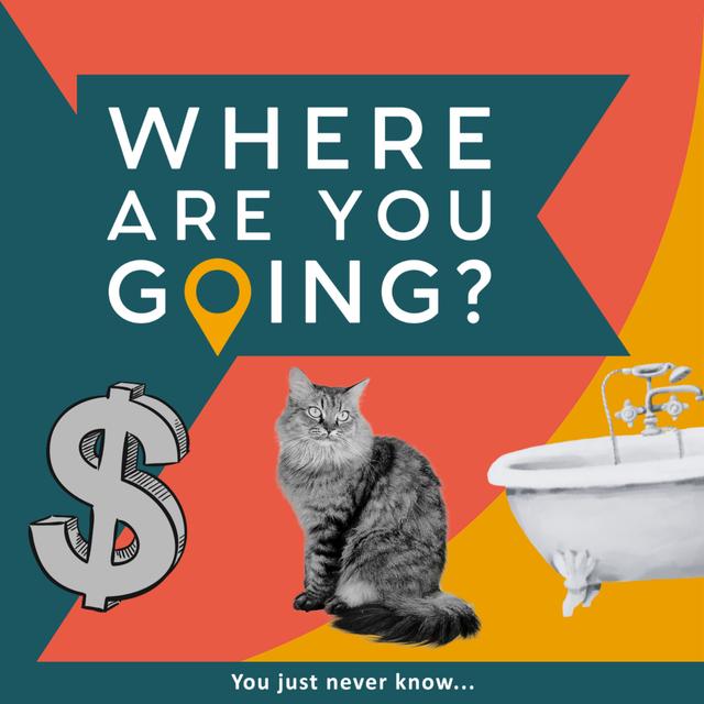 A Bath, a Cat and Billions of Dollars - podcast episode cover