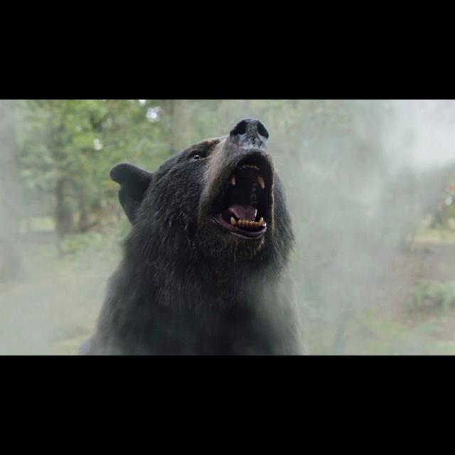 TFR Ep. 646: Cocaine Bear, EO, 5 Favorite Movie Animals - podcast episode cover