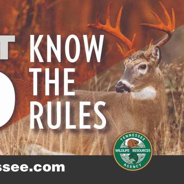 TW 153 - Unit CWD, What You Need To Know - podcast episode cover