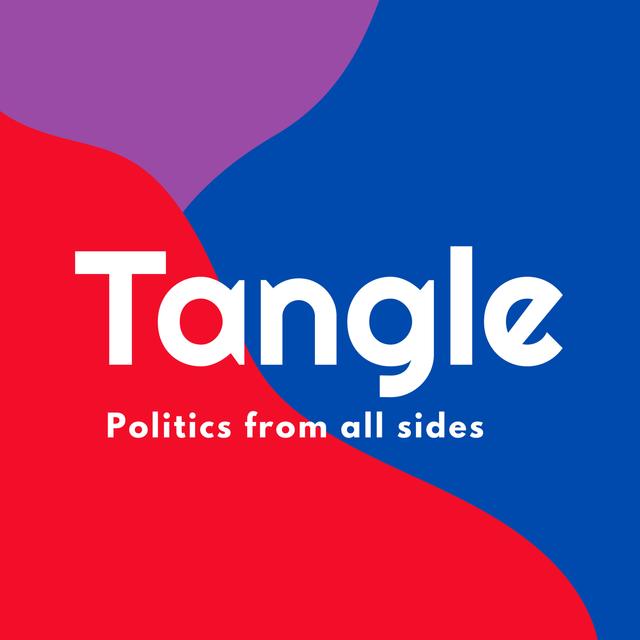 A TikTok ban. - podcast episode cover